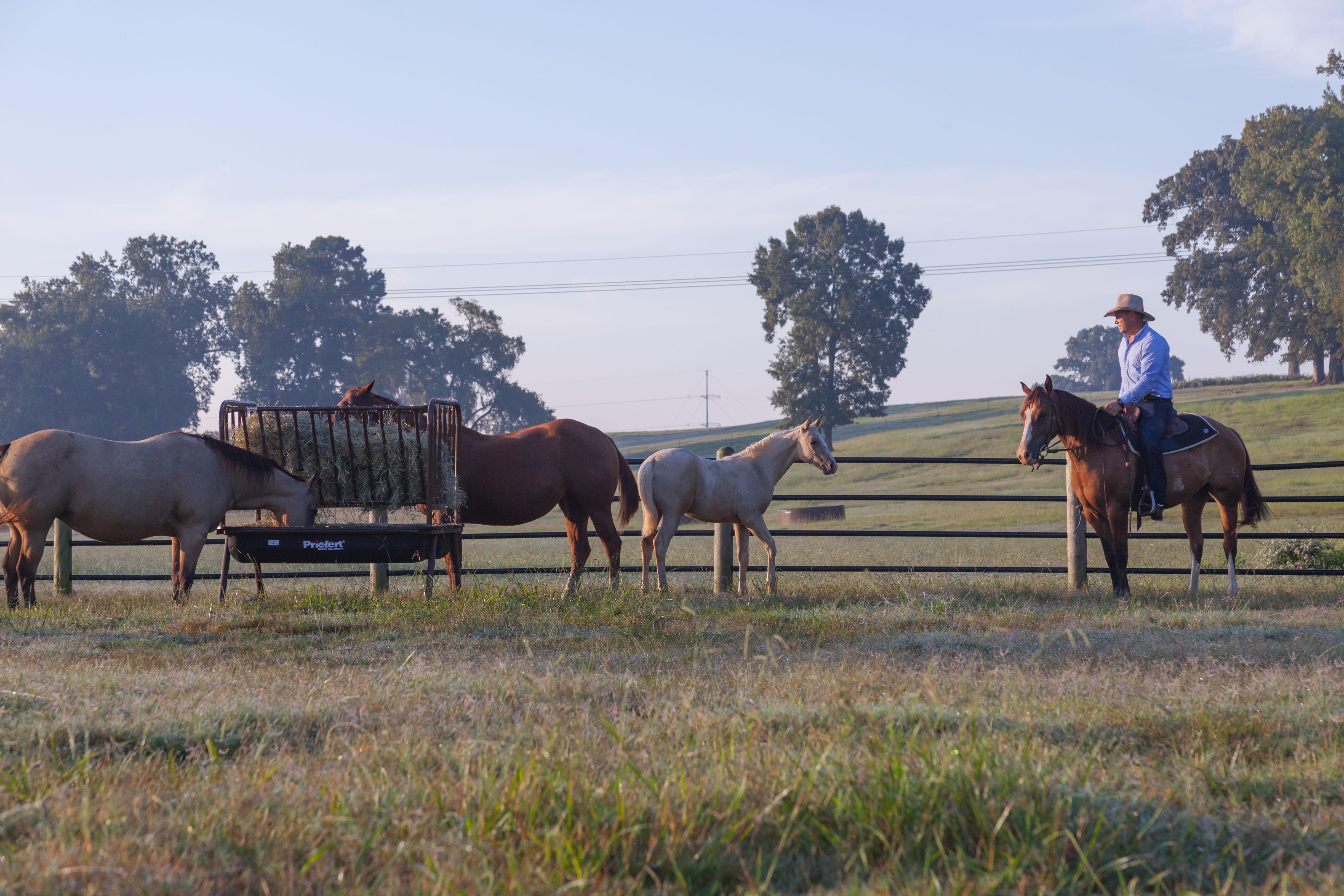 Horse Guy Mclean PHFH05.jpg
